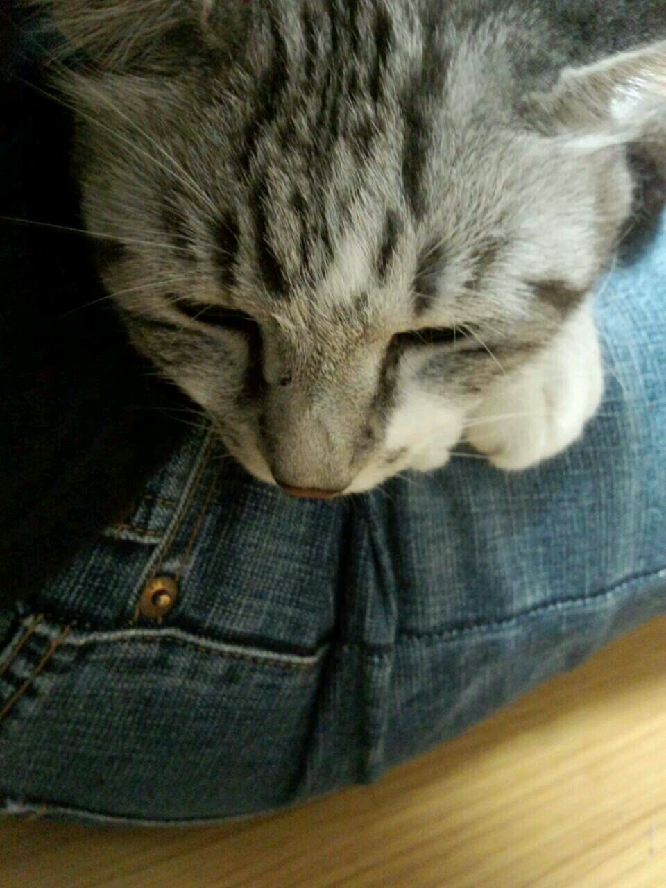鼻水ｼﾞｭﾙｼﾞｭﾙ