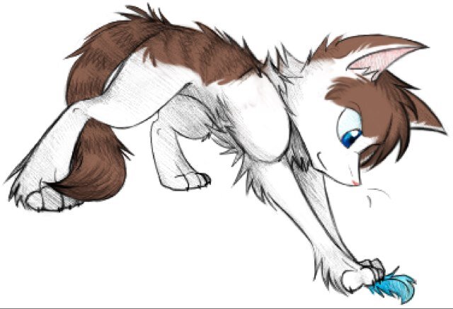 Hi! Im Mitzy! Im a kittypet who LOVES to play and hunt in the forest! Im never caught by any clan and I hope to never be..