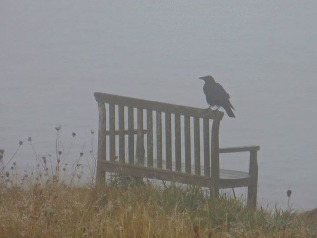 kohler_karen's profile picture. 