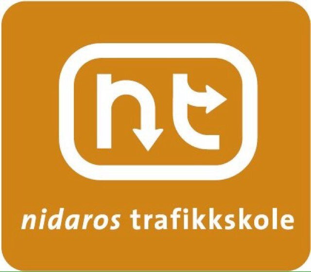 NidarosT Profile Picture
