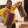 beekeeper_q8's profile picture. تربية نحل وزراعه ومهتم بالبيئه