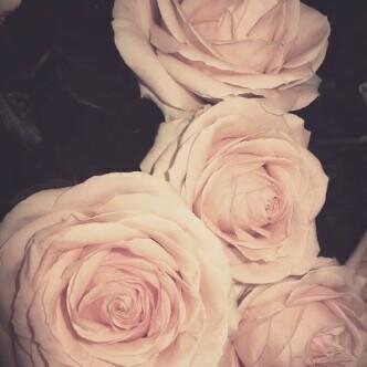 ‏‏‏‏‏أعيشُ حياة نرجسيّة فِي خَيالي .