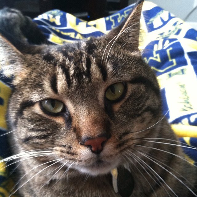 Phil_Simmons87's profile picture. #FearThePhil