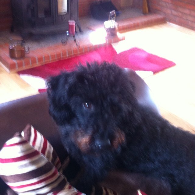 courtneythoma20's profile picture. 