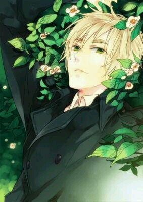 Ello~ Arthur Kirkland here. Former Pirate and Time Lord. The sun never sets on my empire~ Would you care for a cup of tea with me. it would be lovely.