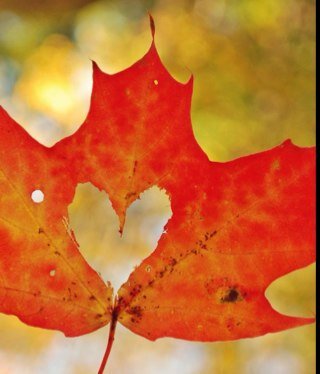 MaryHensey's profile picture. 