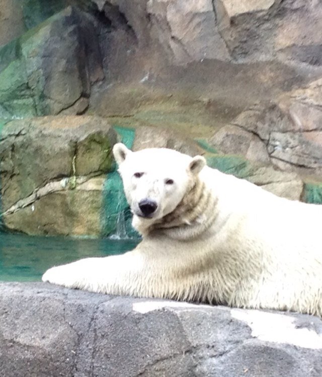 rollthedice11's profile picture. Opinions vary