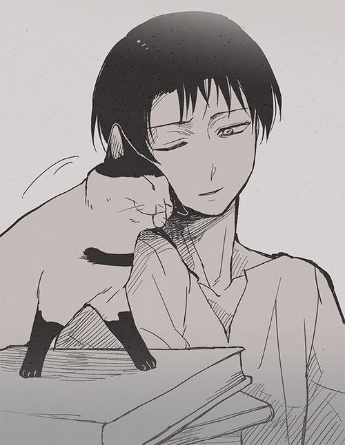 Mmm... Me gusta el yaoi xD estoy aprendiendo a dibujar se cantar... Adoro a los gatos, en especial a los peludos y rechonchos *--* Adoro el anime e3e