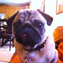 AFlyingGinger's profile picture. 