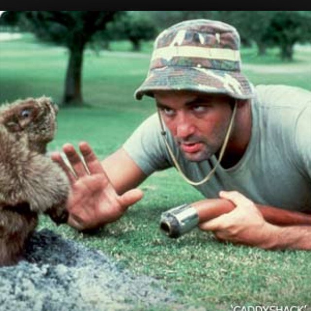 mtweety13's profile picture. 