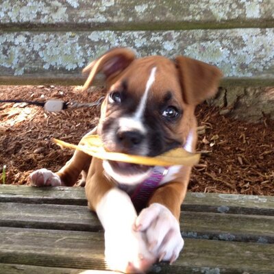 Profile Picture of Valerie (@ValDixon) on Twitter
