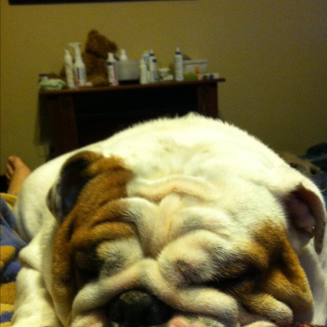 danielkerr75's profile picture. 