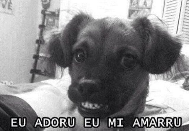 ela pode até usar playback mas é mais bonita, rica e talentosa que você