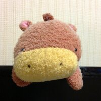 山崎たくみ (@torippy_takumi) Twitter profile photo