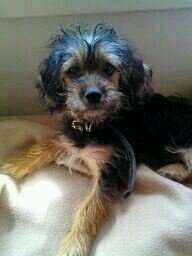 EaryonEw's profile picture. 