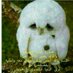 ggaaggggtt (@dssaeyytree) Twitter profile photo ggaaggggtt (@dssaeyytree) Twitter profile photo