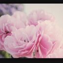 نردين (@0000_noon) Twitter
