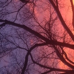 MisterMandCo's profile picture. #yeg