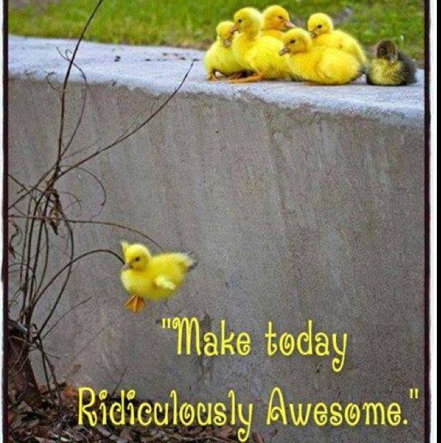 none16100768's profile picture. 