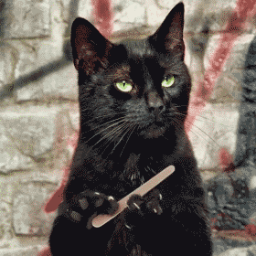 NinjaKitten360's profile picture. Cat wrangler, gamer, reader, watcher of things most scary and now tweeter of tweets most profound. Or profane.