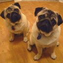 Katherine Chaffin - @kksonnier01 - Twitter