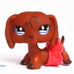 LpsrockPopstar's profile picture. hi my name is rose and i am going to tell you some things about me im 12 years old i like lps my fave movies makers are goGREENgirl188 sophiegtv :3