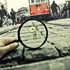 Areeg_Deifiori's profile picture. Web Developer and Designer