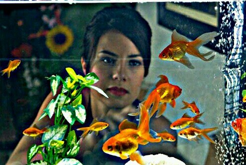 Eu não sei pra onde minha vida vai, só sei que ela é outra e é nova.  - Antigo Twitter: @AliceZanetti