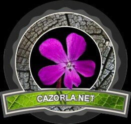 El Portal de Cazorla en la Red