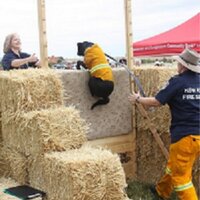 Bungendore Show (@bungendoreshow) 's Twitter Profile Photo
