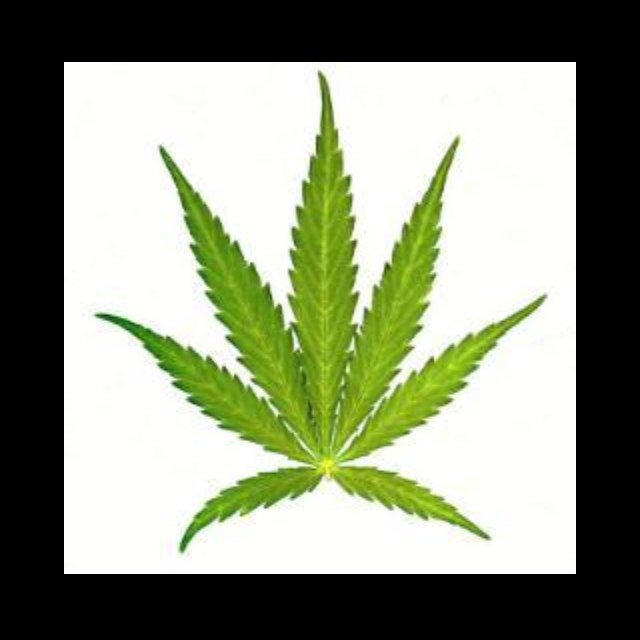 Talk about stonerproblems. I dont always tweet. But when i do i'm just out for a rip eh bud. Stay blitzed