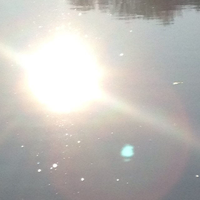 scrapbookofali's profile picture. 