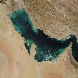 Clinical toxicology in the Arabian Gulf.         The wild, wild Middle East.