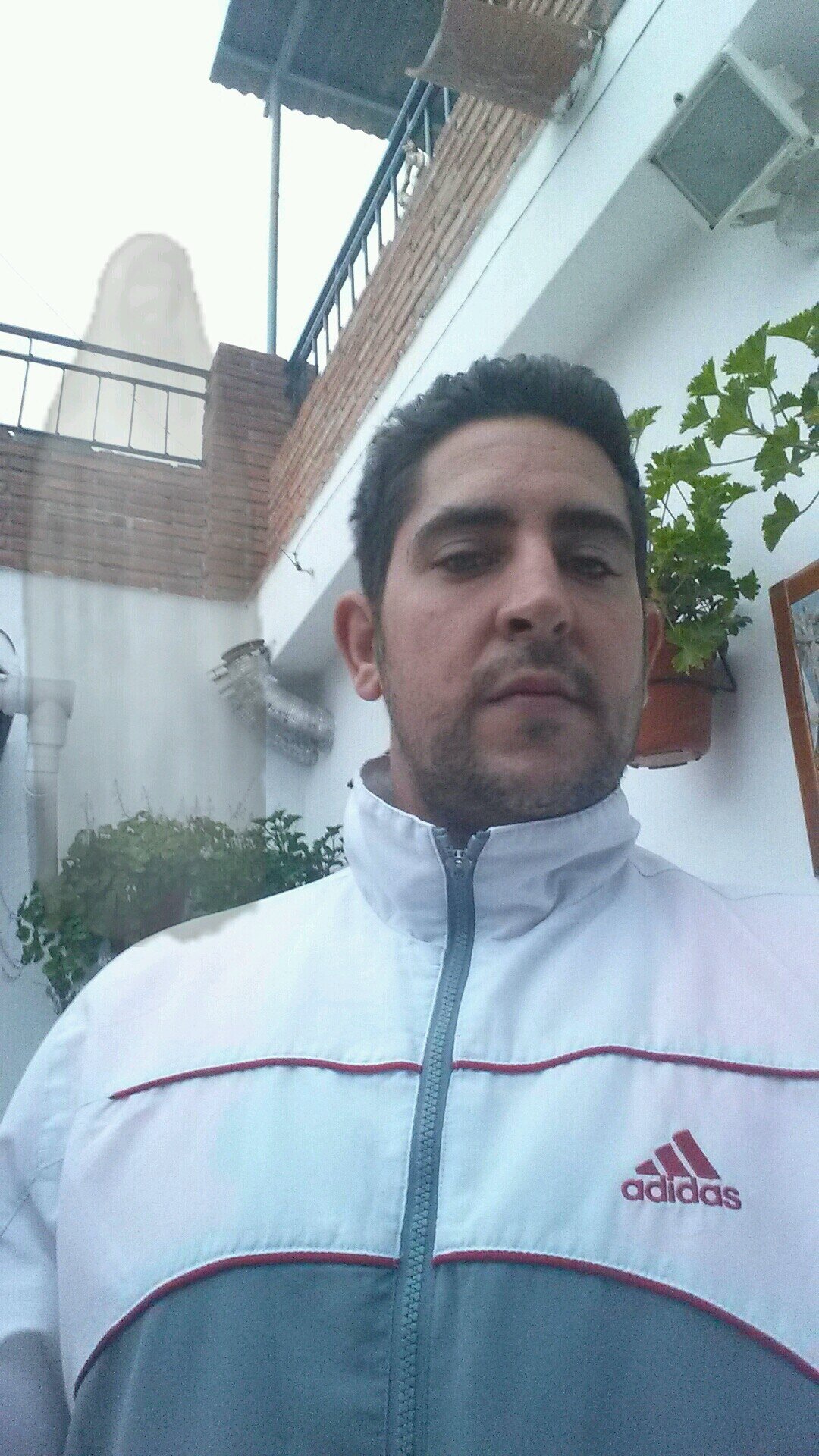 Si lloras porque no ves el sol  no tus lágrimas no te dejaran ver las estrellas