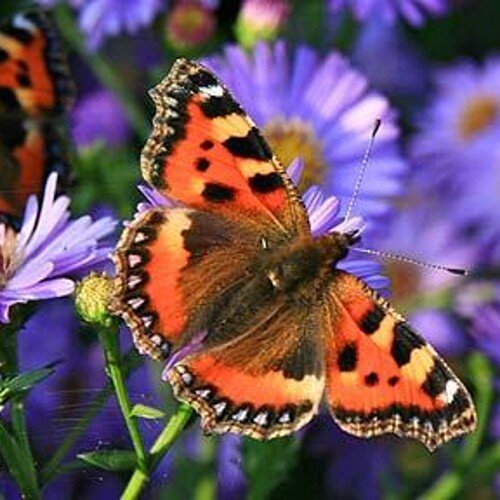 Living life in all its wonderful colours ❤🌈