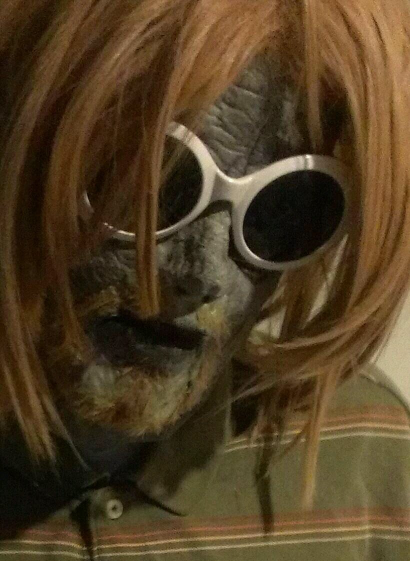 kurt_cobain_z's profile picture. 