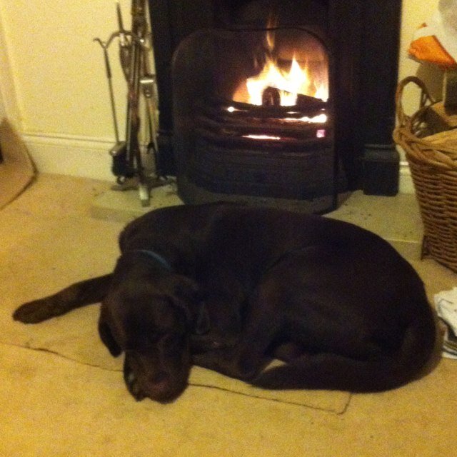 bigdavidjb's profile picture. Englishman, MS SQL Server DBA, Blues and rock fan.