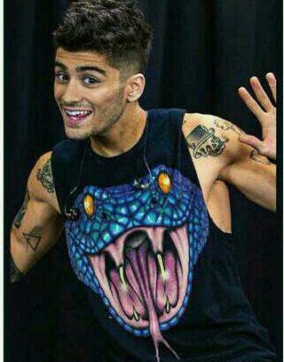 Zayn Jawaad Malik | 19 | coccolamico.sfogamico.scopamico,insomma cio' che vuoi| single | I'm sexy and I know it~