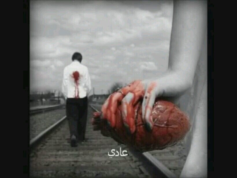 لو تعلمي كم اهواكي ياأملي...ابيع من اجلكي الدنيا ومافيها@@حروف اسمكي على القلب انقشها...وللعصافير والأغصان احكيها@@