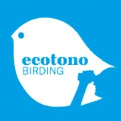 Ecotono Birding