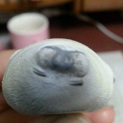 八白