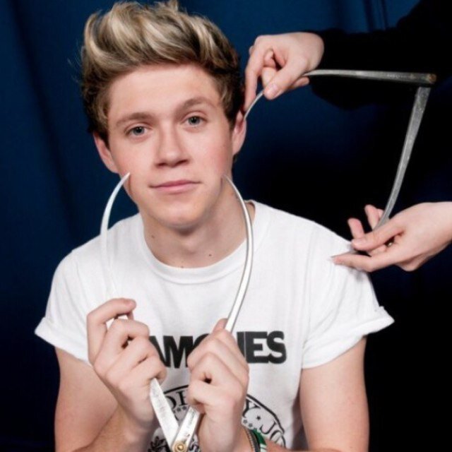 Swedish directioners that can't stop dreaming about meeting 1D