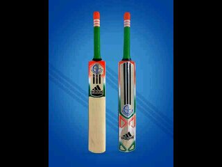 Cricket Lover