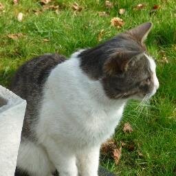 LydiaNelde's profile picture. Trying to be an all-around marketing specialist...