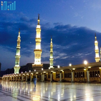 معاوية الانصاري (@a_moawiah) 's Twitter Profile
