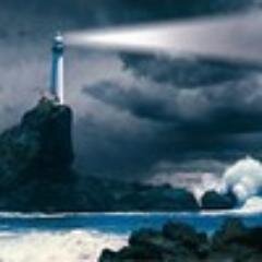 liorephilra's profile picture. Черная корова рожает и черного, и белого теленка