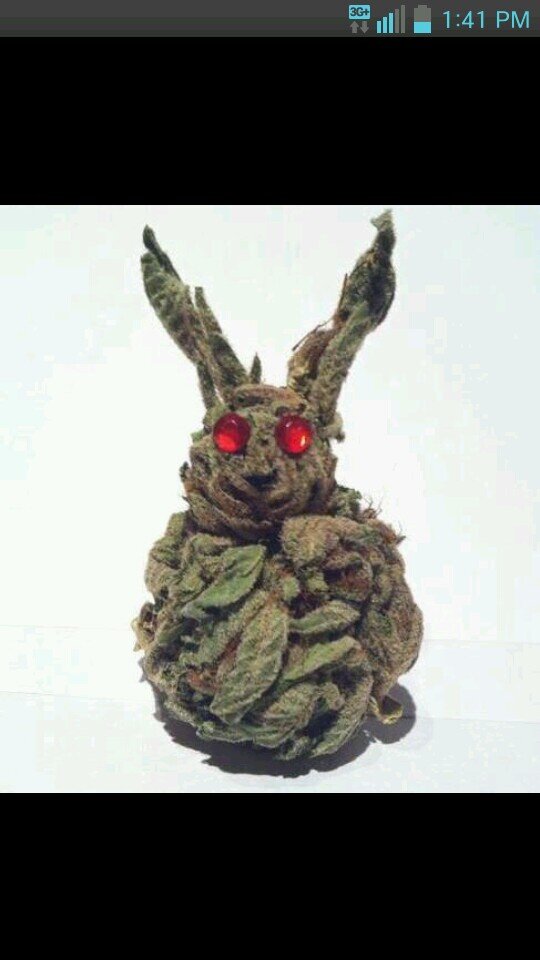 erganja's profile picture. ...