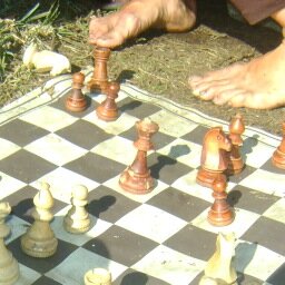 Enjoys chess while waiting for the revolution