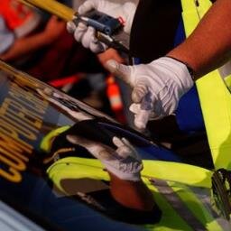 ryckewaertpeter's profile picture. simpel werkmenske