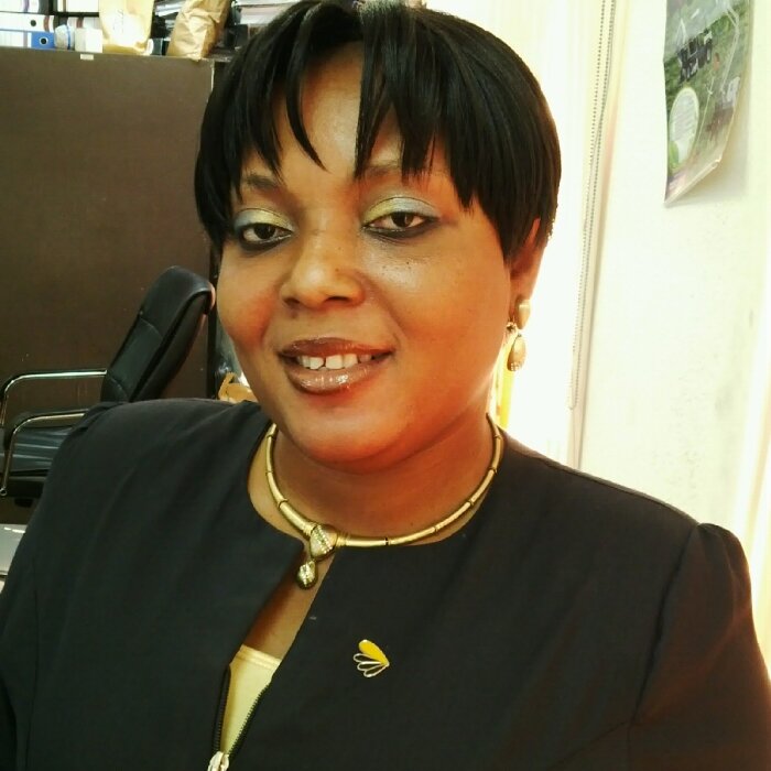 checkstella's profile picture. 